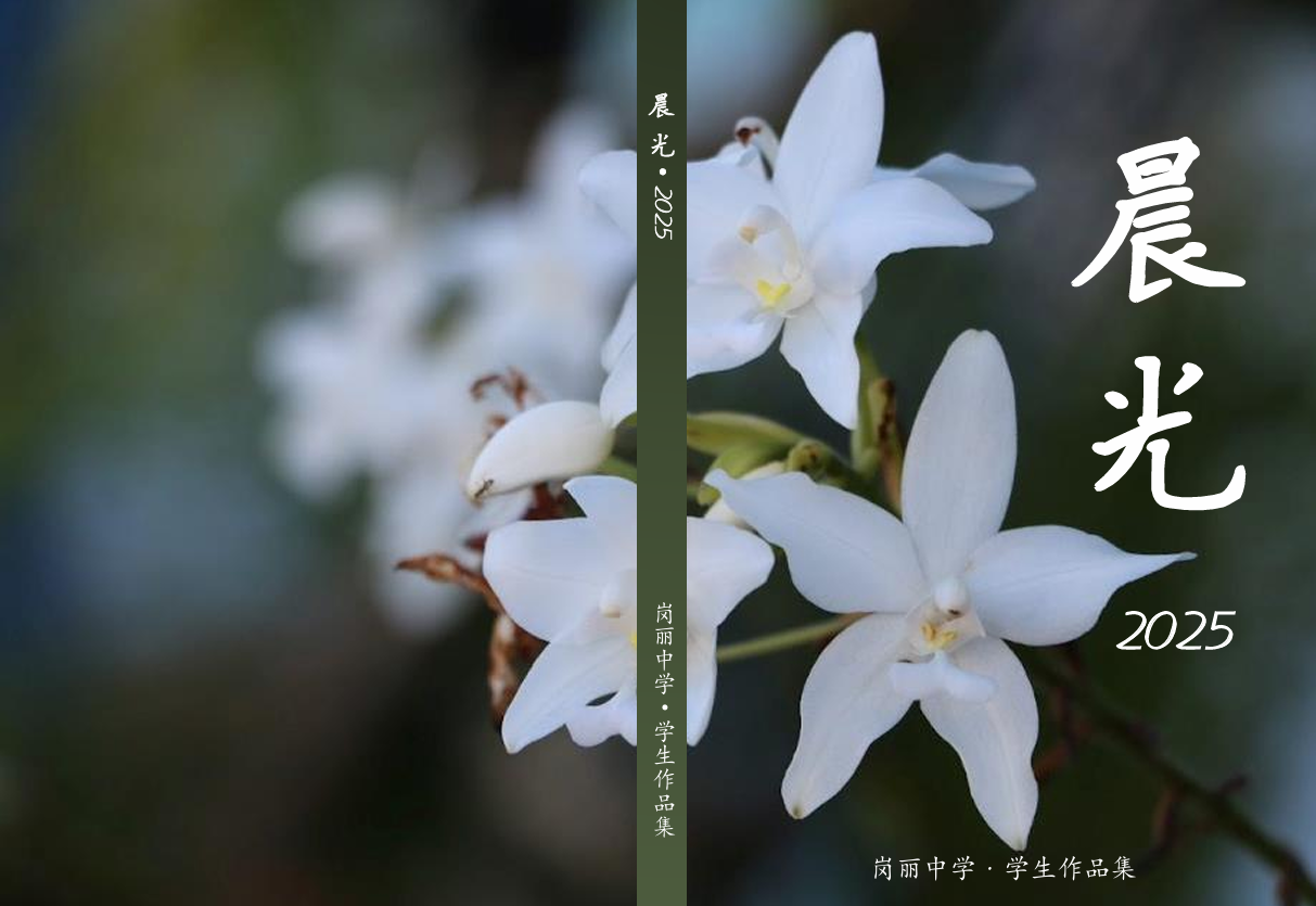 School Publication《晨光》学生作品集